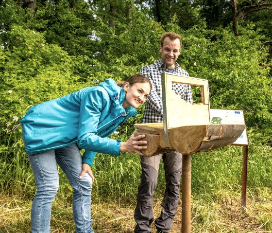 La haie comme espace de vie, © Eifel Tourismus GmbH, D. Ketz