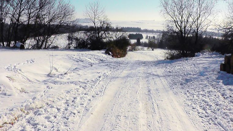 Eine verschneite Straße, umgeben von schneebedeckten Feldern und Bäumen. Der Himmel ist klar und die Landschaft wirkt friedlich.