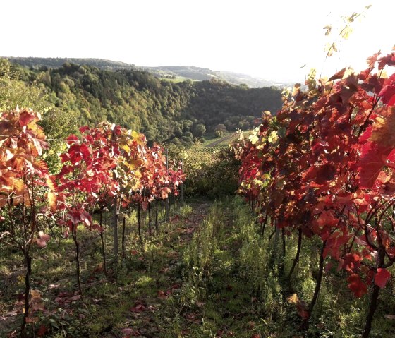 Roderich_IMG-20171008-WA0001