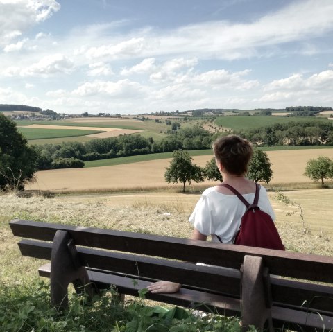 Une personne portant un sac &agrave; dos rouge est assise sur un banc et contemple un vaste paysage de champs et d'arbres sous un ciel bleu., &copy; TI Bitburger Land