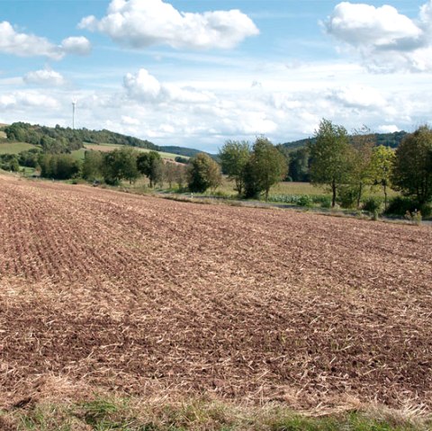 Vaste paysage dans la vall&eacute;e de l'Enz avec un champ brun au premier plan, des arbres et une &eacute;olienne en arri&egrave;re-plan sous un ciel bleu avec des nuages., &copy; V. Teuschler