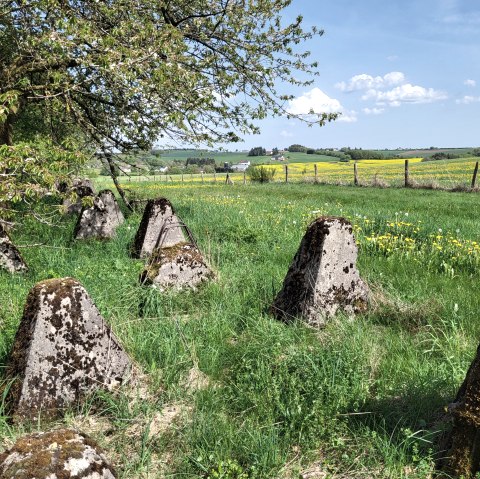 Westwall Wanderweg, &copy; TI Islek