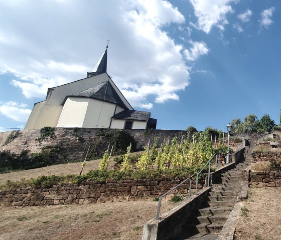 20220824_160827, &copy; Nicole Zimmer