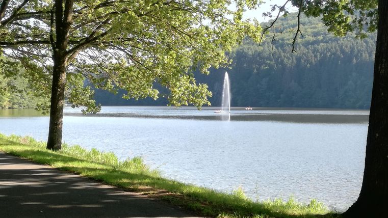 A calm lake surrounded by trees. In the background, a waterfall cascades.