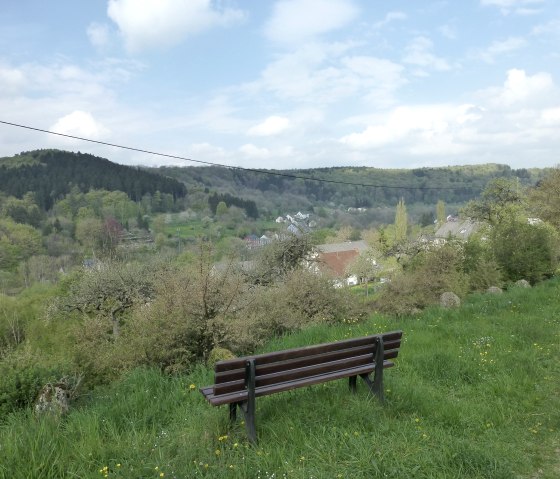 Vue sur la vall&eacute;e de la Kyll en amont de H&uuml;ttingen, &copy; NaturAktivErleben