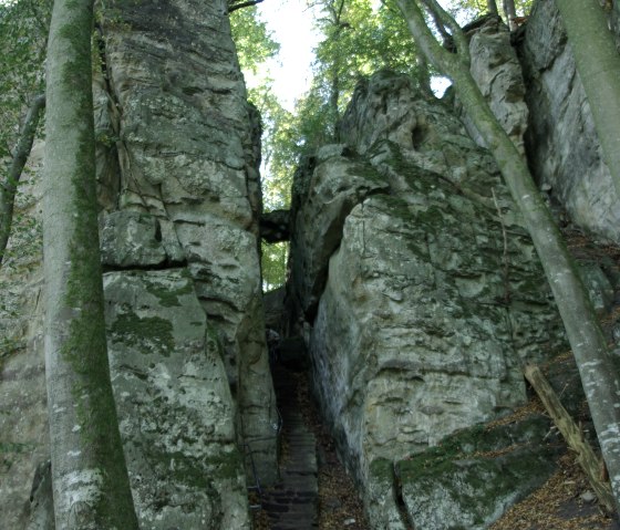 Gorge &eacute;troite avec des escaliers en pierre entre de hautes parois rocheuses, entour&eacute;e d'arbres et de feuilles mortes sur le sol., &copy; Felsenland S&uuml;deifel Tourismus GmbH