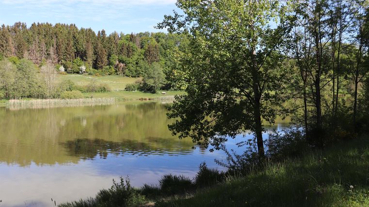 Ein ruhiger See umgeben von Bäumen und üppigem Grün. Der Himmel ist klar und die Landschaft wirkt friedlich.