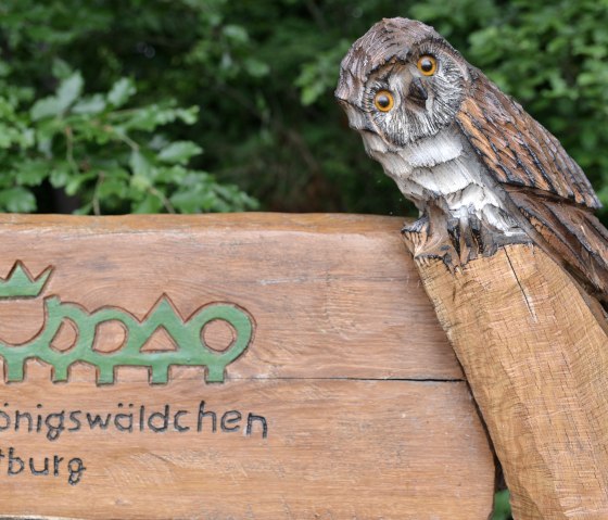 K&ouml;nigsw&auml;ldchen Hilfsger&auml;teroute(C)Ti Bitburger Land_MM (3), &copy; TI Bitburger Land