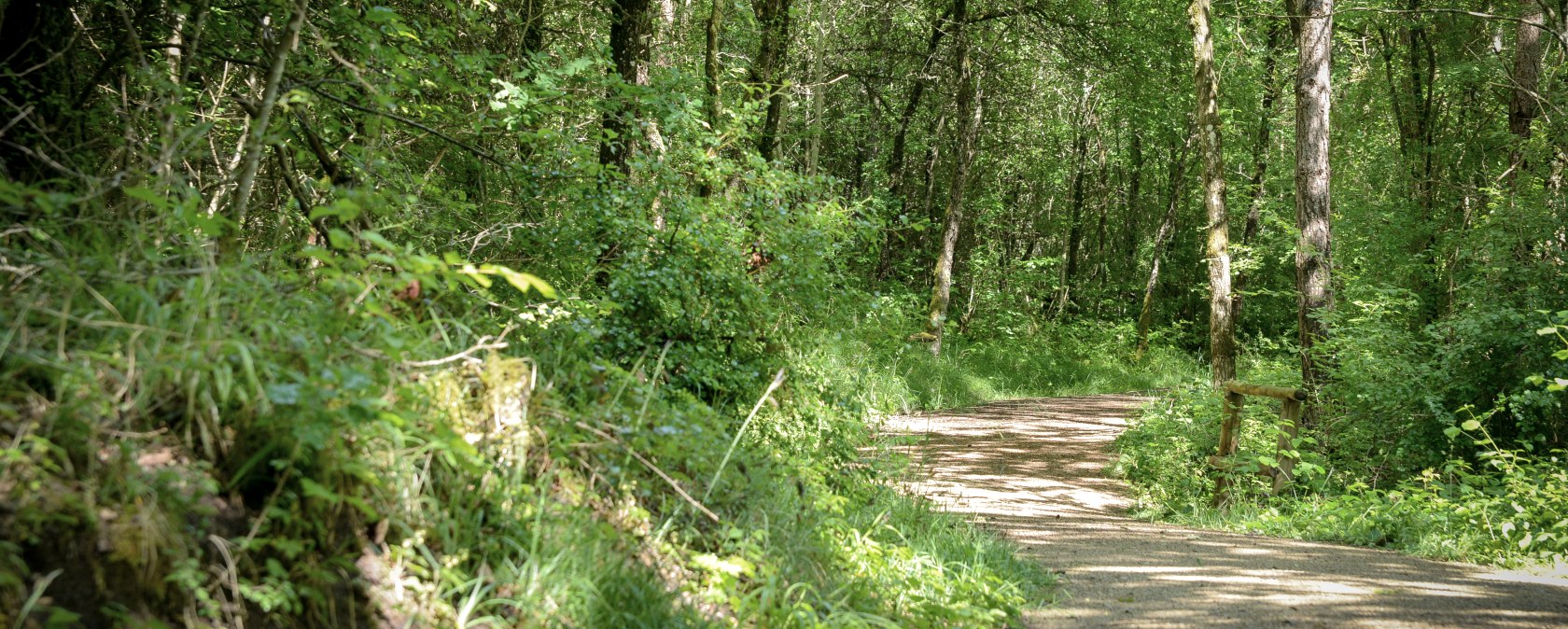 K&ouml;nigsw&auml;ldchen Hilfsger&auml;teroute(C)Ti Bitburger Land_MM (31)-2, &copy; TI Bitburger Land