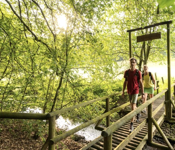 Beekpad in het NaturWanderPark delux, Ernst-brug over de beek Alfbach, &copy; Eifel Tourismus GmbH, D. Ketz