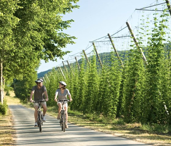 Prüm fietspad, © Rheinland Pfalz Tourismus GmbH / Dominik Ketz