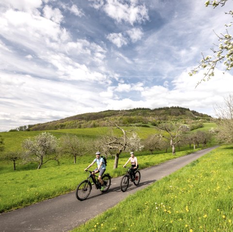 Im Fr&uuml;hjahr f&uuml;hrt die Radreise durch bl&uuml;hende Streuobstwiesen im Naturpark S&uuml;deifel, &copy; Eifel Tourismus GmbH, Dominik Ketz