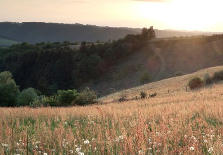 Soleil matinal sur la vall&eacute;e de l'Our, &copy; V. Teuschler