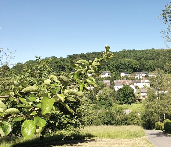 Blick auf das Dorf H&uuml;ttingen, eingebettet in gr&uuml;ne Landschaft mit B&auml;umen und Wiesen unter klarem, blauem Himmel., &copy; TI Bitburger Land