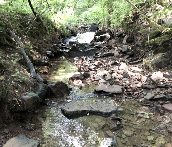 Een klein beekje stroomt door een bos van stenen en mos, omringd door dicht groen., &copy; TI Bitburger Land