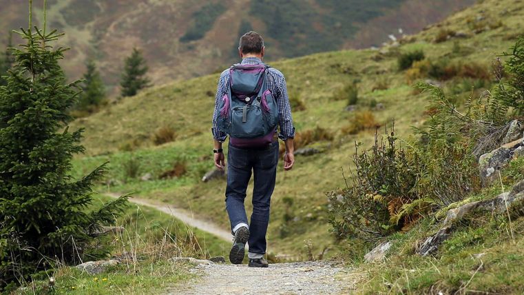A hiker is walking along a narrow path through a green landscape. In the background, gentle hills and trees can be seen.