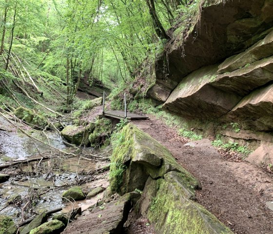 Felsformation, &copy; Deutsch-Luxemburgische Tourist-Information