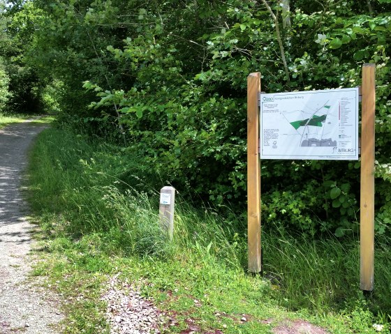 Ein schattiger Waldweg f&uuml;hrt durch &uuml;ppiges Gr&uuml;n. Rechts steht ein gro&szlig;es Informationsschild mit einer Karte. Der Weg ist von B&auml;umen ges&auml;umt., &copy; Tourist-Information Bitburger Land
