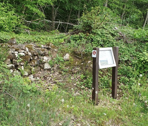 Comfort wandelroute Zemmer 5, &copy; RLP