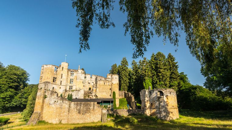 Ruine Beaufort in Luxemburg, umgeben von Bäumen und blauem Himmel.