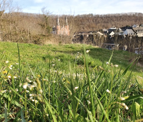 Vue sur la basilique Saint-Sauveur de Pr&uuml;m depuis le sentier de randonn&eacute;e, &copy; Tourist-Information Pr&uuml;mer Land