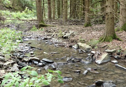 web DierbachP1110874, &copy; Tourist.-Information Islek