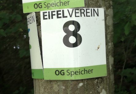 Une plaque de l'Eifelverein portant le num&eacute;ro 8 et l'inscription 'OG Speicher' est fix&eacute;e &agrave; un arbre., &copy; Tourist-Information Bitburger Land
