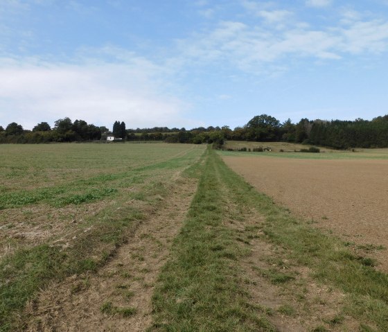 M&ouml;hn, &copy; Nicole Zimmer