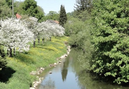 apfelbluete-an-der-pruem-in-holsthum, &copy; Hans-Dieter Heck