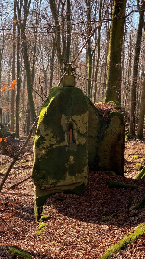 A large moss-covered stone stands in the forest. The surroundings are characterized by trees and autumn leaves.