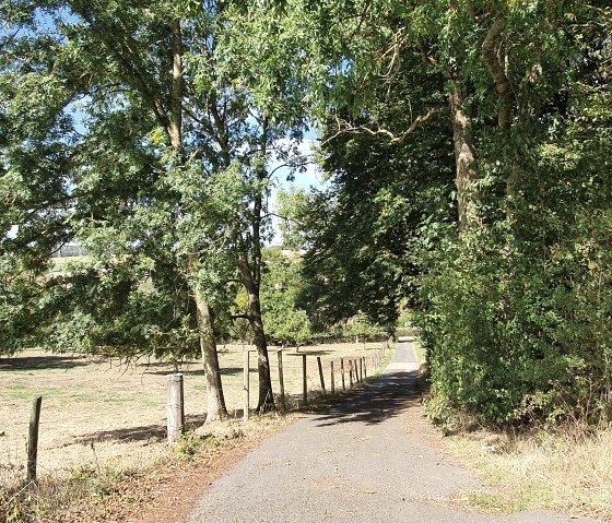 Ein schmaler Weg f&uuml;hrt durch eine gr&uuml;ne Landschaft mit B&auml;umen und Wiesen unter einem blauen Himmel., &copy; TI Bitburger Land - Steffi Wagner