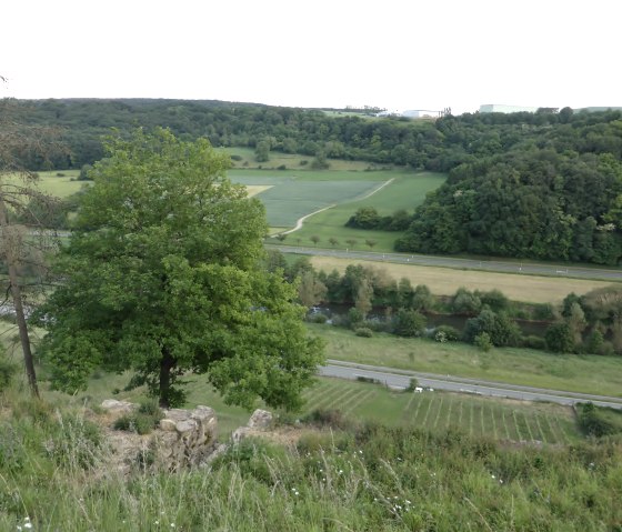 Vue panoramique de la vall&eacute;e de la S&ucirc;re avec des champs verdoyants, une rivi&egrave;re et un jeune vignoble. Au premier plan, un arbre et une route., &copy; Elke Wagner, Felsenland S&uuml;deifel Tourismus GmbH