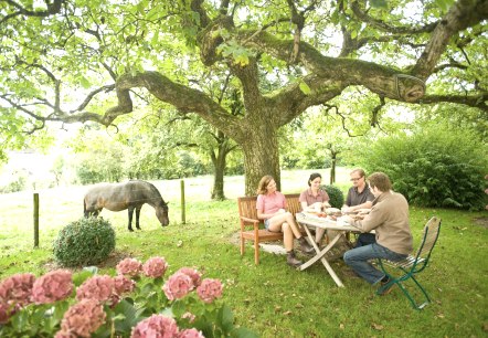 Gastgeber NaturWanderPark delux - Garten, © Eifel Tourismus GmbH, D. Ketz
