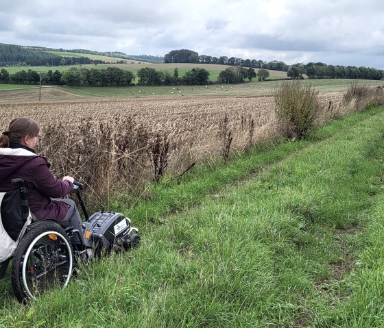 Rollstuhlzugger&auml;t, &copy; Tourist-Information Islek