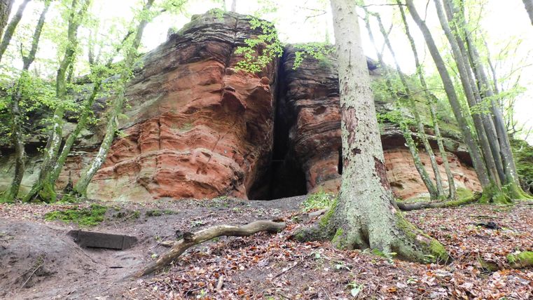 An impressive rock formation in the forest, surrounded by trees. The ground is covered with leaves.