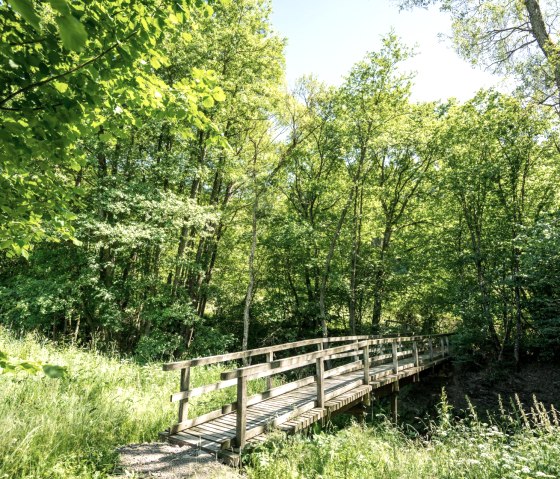 Pont idyllique sur la route Eifelgold, © Eifel Tourismus GmbH, D. Ketz