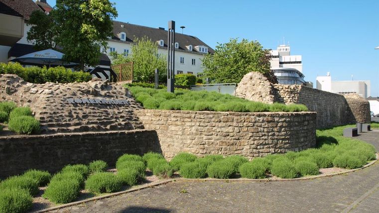 A historical wall surrounded by green grass and bushes. In the background, modern buildings and a clear blue sky are visible.