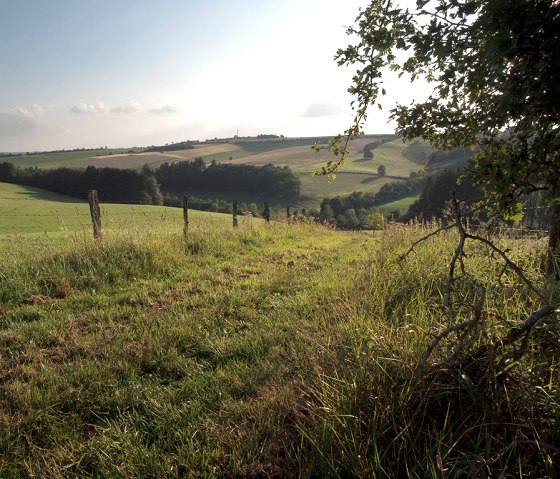 Chemin du ruisseau, chemin des prés, © Naturpark Südeifel, V. Teuschler