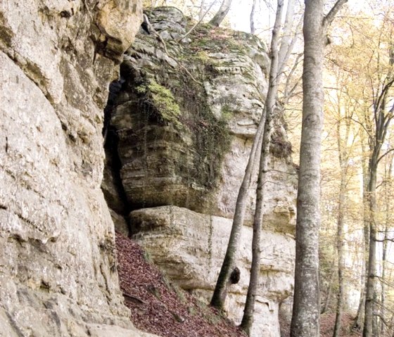 Environs