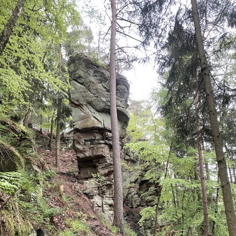 Predigtstuhl, &copy; Felsenland S&uuml;deifel Tourismus GmbH, AC Krebs