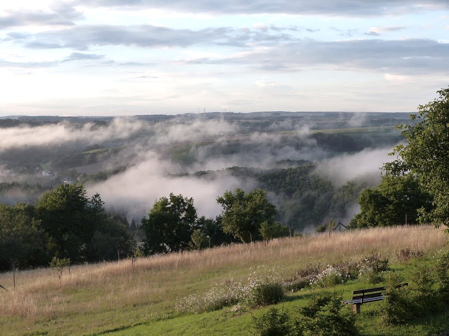 Panoramablick &uuml;ber eine gr&uuml;ne Landschaft mit Nebel. Im Vordergrund eine Bank, im Hintergrund H&uuml;gel und B&auml;ume unter einem bew&ouml;lkten Himmel., &copy; Eifelverein Ortsgruppe Speicher