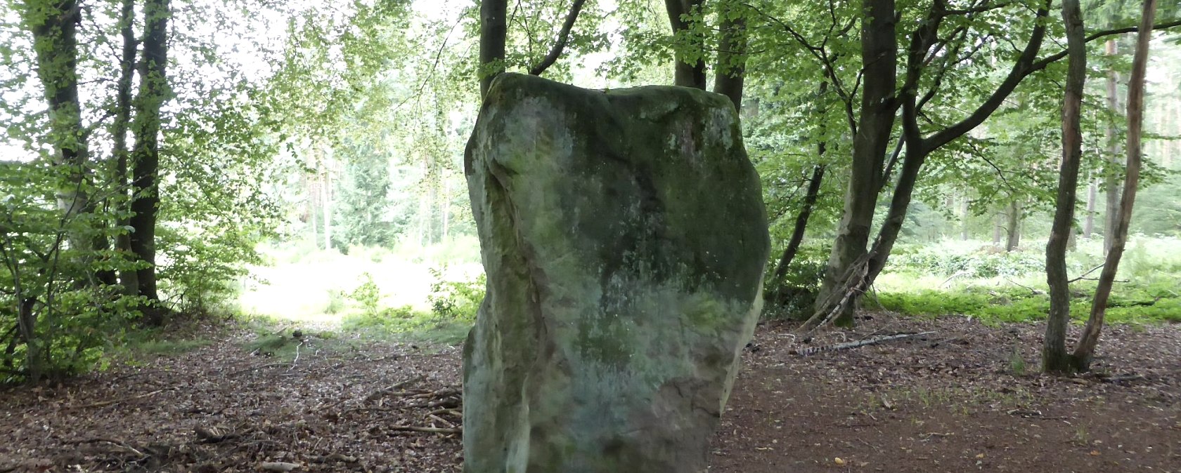 Druidenstein Bollendorf von der "R&uuml;ckseite", &copy; Elke Wagner