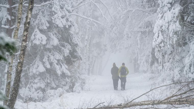 Two people are walking along a snowy path through a foggy forest. The trees are covered with snow and visibility is limited.