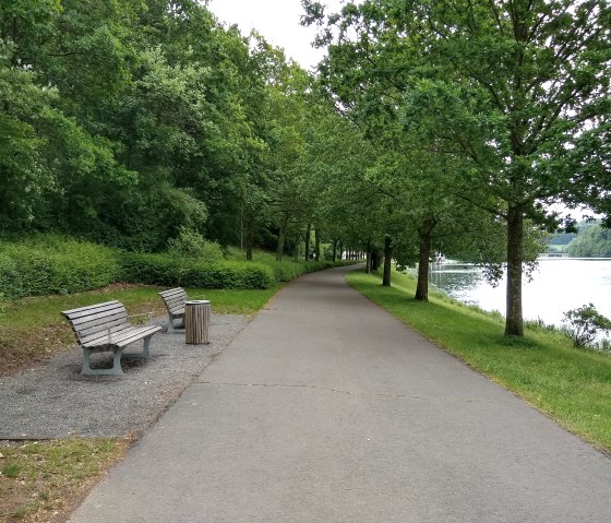 Deux bancs se trouvent sur un chemin asphalt&eacute;, entour&eacute; d'arbres et d'un lac. Le chemin fait partie du circuit accessible du lac de barrage de Bitburg., &copy; Naturpark S&uuml;deifel