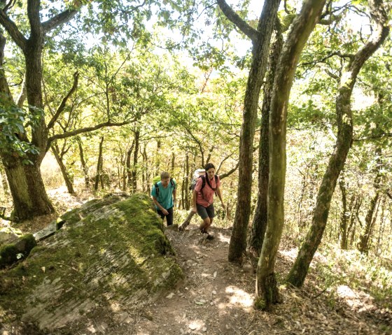 Twee wandelaars op een smal, bebost pad in de Lätgesberg. De zon schijnt door de bomen en verlicht de met mos bedekte grond., © Eifel Tourismus GmbH, D. Ketz