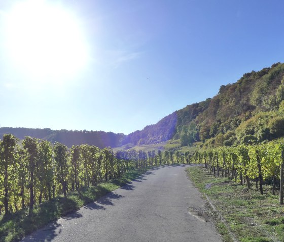 &copy; Deutsch-Luxemburgische Tourist-Info