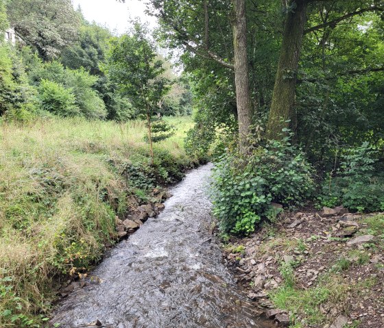 20240818_161612_resized, &copy; Tourist-Information Islek