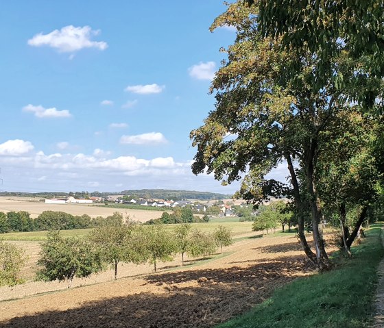 Blick auf Felder und ein Dorf am Horizont, ges&auml;umt von B&auml;umen und einem Feldweg, unter einem klaren blauen Himmel., &copy; TI Bitburger Land - Steffi Wagner