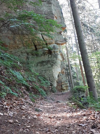 Un chemin forestier longe une haute paroi rocheuse. L'environnement est vert et ensoleillé, avec des arbres et du feuillage.