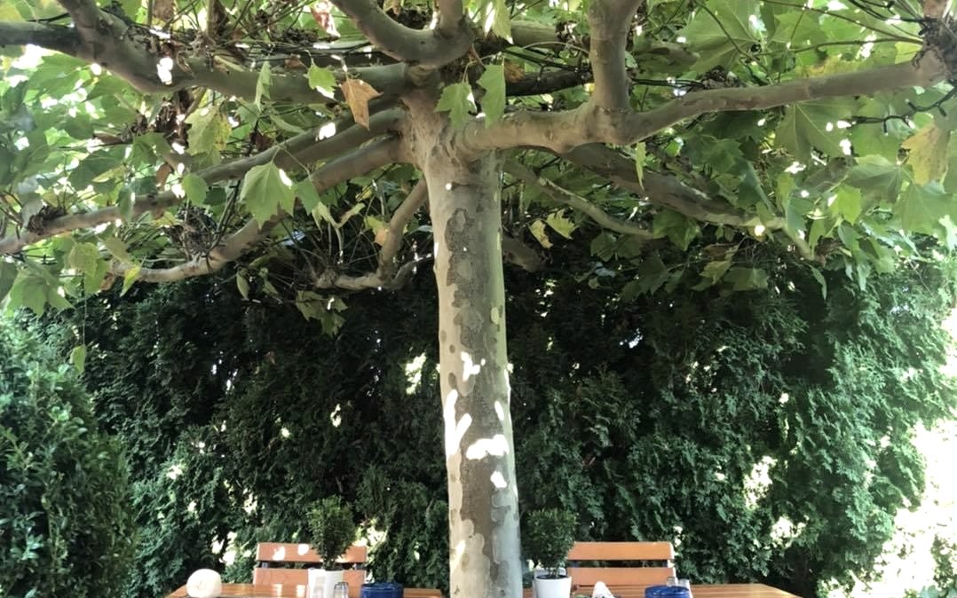 Sonnen 4, &copy; Sonnen